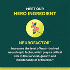 NEURIVA Brain + Energy Gummies, Nootropic Brain Supplements for Focus and Concentration with Neurofactor, Vitamin B12 & Caffeine for an Energy Boost*, 75ct Natural BlackBerry
