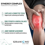 Granions Glucosamine Chondroitin MSM Complex Powder – Joint Supplements for Men and Women - Chondrosteo, Hydrolyzed Marine Collagen Peptides, Pack of 2 – Wild Berry Flavor, 19.8oz