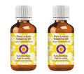 Deve Herbes Pure Ledum Essential Oil (Ledum groenlandicum) Steam Distilled (Pack of Two) 100ml X 2 (6.76 oz)