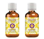 Deve Herbes Pure Ledum Essential Oil (Ledum groenlandicum) Steam Distilled (Pack of Two) 100ml X 2 (6.76 oz)