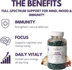 Super Stacker - 4-in-1 Mushroom Supplement Wellness Blend - Lion’s Mane, Oyster, Chestnut & Reishi - Immune, Focus & Daily Vitality - 60 Vegan Capsules