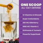 GOBIOTIX Vitamin C - Immune Defense Support Supplement - Immunity Powder Wellness Booster - Vegan Superfood - Elderberry, Turmeric, B12 Vitamin Supplement, Non-GMO and Sugar Free (Berry)