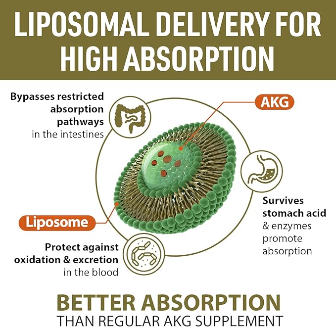 Liposomal Calcium AKG Supplement 1500 MG (Alpha-Ketoglutaric Acid), More Effective Than AAKG, Ca AKG for Longevity, Age Defense, Cellular Energy, Metabolic Function, 120 Softgels