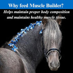 SU-PER Muscle Builder Horse Supplement - Training and Performance Support for Exercising Muscle - 1 Gallon, 4 Month Supply