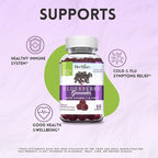 HERBION Elderberry Gummies with Vitamin C & Zinc, Healthy Immune System Support, Gluten-Free & Gelatin-Free, 60 Gummies for Adults & Children 4 Years & Above, Made in USA, Pack of 2