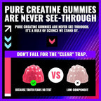 NSF Certified Creatine Gummy 5g - Creatine Monohydrate Gummies – Pre-Workout Energy & Muscle Growth Support for Men & Women | Blueberry Raspberry Electrolyte Gummies (135 Count)