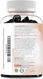 Micro Ingredients Mega Mushroom Gummies | 10-in-1 with Lions Mane, Turkey Tail, Reishi, Cordyceps, Chaga, Maitake, & Ashwagandha | Sugar-Free Raspberry Pomegranate Flavor | Non-GMO | 120 Count