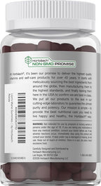 Horbaach Lions Mane Supplement | 60 Gummies | 10-in-1 Mushroom Complex | with Turkey Tail, Reishi, Cordyceps, Chaga, Maitake, and Shiitake | Blueberry Flavor | Non-GMO & Gluten Free