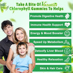 Chlorophyll Gummies - Super Green 13 in 1 with Ashwagandha Vitamin C Zinc & Copper for Body Odor, Skin Energy Immune Support Deodorant for Women - 60 Count