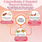 Liposomal Berberine Supplement 1500mg, High Potency Berberine Gummies w. Ceylon Cinnamon, ACV & Turmeric for Digestive, Metabolic & Immune Support, Sugar Free, Vegan, 60 Count