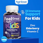 Feel Great Vitamin Co. Elderberry Gummies for Kids | Immune Support | Natural Antioxidant Immune Booster | with Vitamin C and Zinc | Gluten Free & Vegetarian | 90 Gummies