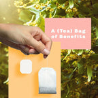 Herbal Cup Herbal Tea, Bednite, 16 Tea Bags