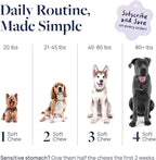 Veterinary Formula Pet Calm 60ct – Vet-Formulated Calming Chews for Dogs with L-Theanine, L-Tryptophan for Behavior Support, Relaxation Treats, Puppy Chews for Stressful Situations, Dog Calming Aid