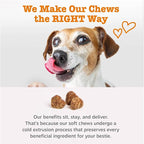 Zesty Paws Dog Multivitamin, Chewable Dog Vitamins and Supplements for Hip & Joints, Skin & Coat, Omega 3 Fish Oil for Dogs- Puppy Multivitamin - Chicken Puppy Bites- 90ct