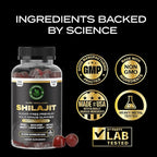 30,000 MG Pure Organic Shilajit Gummies for Men & Women, Sugar-Free Supplement with 85+ Trace Minerals & Fulvic Acid, Supports Energy, Immunity, Cognitive Performance & Mood, 60 Gummies Pack of 1