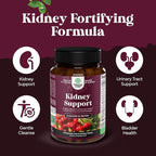 Advanced Kidney Support Supplement - Kidney Cleanse Detox & Repair Cranberry Extract Capsules with Uva Ursi, Stinging Nettle & Astragalus for Kidney Health - Urinary Tract Health - 60 Count