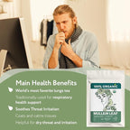 Organic Mullein Tea Loose Leaf (2oz.) – Mullein Leaf Tea Loose - Mullien Herb – Mullen Leaves - Mullin - Natural Alternative for Lungs & Respiratory Health