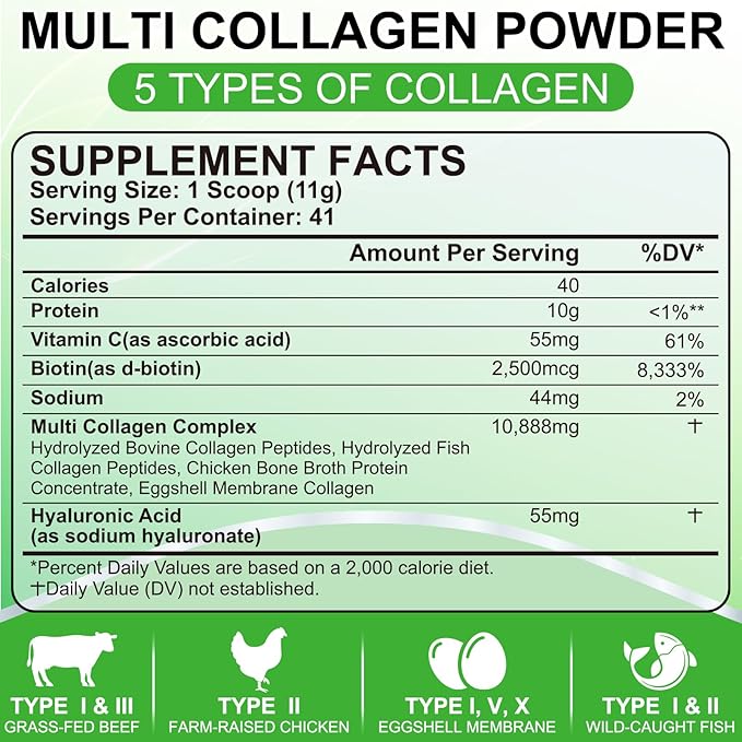 SCOLA Collagen Peptides Powder- Type I, II, III, V, X - Hydrolyzed Collagen Peptides with Vitamin C Hyaluronic Acid, Supports Skin Hair Nail & Joint, Non-GMO, 1lb