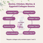 Micro Ingredients Multi Collagen Pills for Women & Men, 240 Capsules | Type I, II, III, V, X | Hydrolyzed Peptides with Biotin, Hyaluronic Acid, & Fat Soluble Vitamin C Complex | Non-GMO, Filler Free