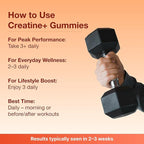 Bear Balanced Creatine Gummies for Men & Women - Creapure® Creatine Monohydrate, L-Theanine, L-Tyrosine & B12 for Muscle Growth, Strength, Focus, Energy & Health - Low Calorie, Sugar-Free, & Vegan