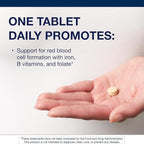 Metagenics Hemagenics Iron Supplement with B12, B6 & Folate Supports Red Blood Cell Formation, Energy & Immune Health* Non-Constipating, Non-GMO, Gluten-Free, Vegetarian - 180 Tablets
