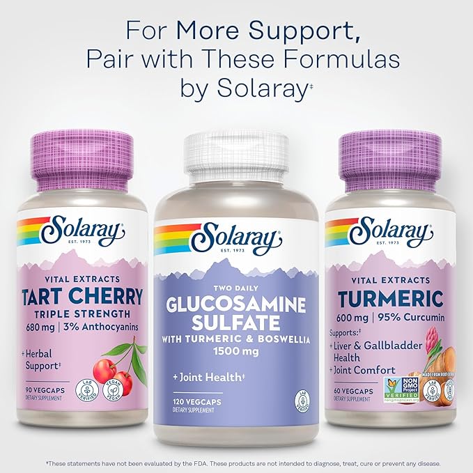 SOLARAY Turmeric Supplement 600mg - Turmeric Root with 95% Curcumin - Joint Support Supplement - Joint Health, Gallbladder and Liver Support, Non-GMO, Vegan, Gluten Free, 60-Day Guarantee, 60 Servings