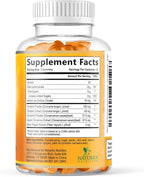Turmeric Curcumin Supplement Gummies - 95% Curcuminoids with Turmeric Ginger, Black Pepper for Best Absorption, Nature's Vegan Joint Support, Non-GMO, Gluten Free, Tasty Cinnamon Flavor - 60 Gummies