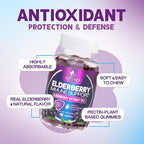 Elderberry Immune Support Gummies - Elderberry Extract Sambucus Nigra - Black Elder Berry Vitamin Supplement - Natural, Daily Immune Support Kids & Adults Love - Delicious Berry Flavor - 60 Gummies