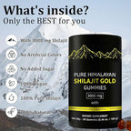 Shilajit Gummies | Alpha Gummies for Men | Lab Tested I No Added Sugar | Ashwagandha, Gokshura | Fulvic Acid & 85+ Trace Minerals for Men, Women | Non-GMO | 60 Gummy