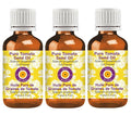 Deve Herbes Pure Tomato Seed Oil (Solanum lycopersicum) Cold Pressed (Pack of Three) 100ml X 3 (10 oz)