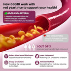 Hollgend Red Yeast Rice with Coq10 Gummies Sugar Free, Organic Red Yeast Rice 2400mg for Cholesterol Lowering Supplements, Enhanced with Coenzyme Q10 200mg for Heart Health Support, 60 Chewables