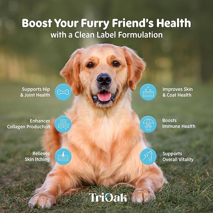 Liquid Collagen Supplement Drops for Dogs: Hip & Joint Support, Skin & Coat Health, Itch Relief in One Daily Supplement with Bioactive Collagen Peptides - Pure Formula Support for All Dog Sizes & Ages