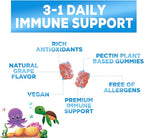 Kids Immune Support Supplement Gummies - Daily Childrens Vitamins C, Zinc & Echinacea - Gummy for Kids Immune Support, Ages 4 and Up, Natural Berry Flavor, Non-GMO, Gluten-Free & Vegan - 90 Gummies