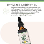 Double Wood Supplements Organic Lemon Balm Tincture - for Digestion & Relaxation 590mg - 2FL OZ, 120 Servings (Better Absorbed Than Capsules, Great for Lemon Balm Tea)