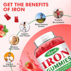 2 Pack Iron Gummies for Women & Men - Vegan Iron Supplement for Anemia & Iron Deficiency, with Vitamin B12, Vitamin C, Zinc, Folate - Energy Boost, Sugar-Free, Strawberry Flavor, 120 Count