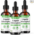 LIQUIDHEALTH Liquid Chlorophyll Drops - Internal Deodorizer, Antioxidants, Liver Detox, Immune Support, Relieve Bad Breath, Reduce Appetite, Collagen for Hair & Skin Health - Vegan, Non-GMO (3 Pack)