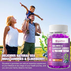 Sea Moss & Elderberry Gummies, Blueberry Flavored Gummy, Vitamins Sea Moss Supplements with Vitamin C + Zinc and Apple Cider Vinegar, Good Texture, Vegan-Friendly, 120 Count(Pack of 2)