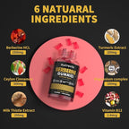 Nutravita Berberine Gummies with Ceylon Cinnamon 1500mg High Potency Berberine HCL Supplement for Immune and Metabolism Support, Sugar Free Organic Berberine Gummies Raspberry Flavor-2PACK