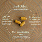 New Chapter Advanced Perfect Prenatal Vitamins, 192ct, Made with Organic, Non-GMO Ingredients for Healthy Baby & Mom - Folate (Methylfolate), Whole-Food Fermented Iron, Vitamin D3 + Ginger