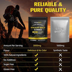 Shilajit Gummies, Pure Himalayan Natural Shilajit Gummies for Men & Women, Rich in Ashwagandha, Gokshura with 85+ Trace Minerals, Energy Boost & Immune Support, 60 Gummies