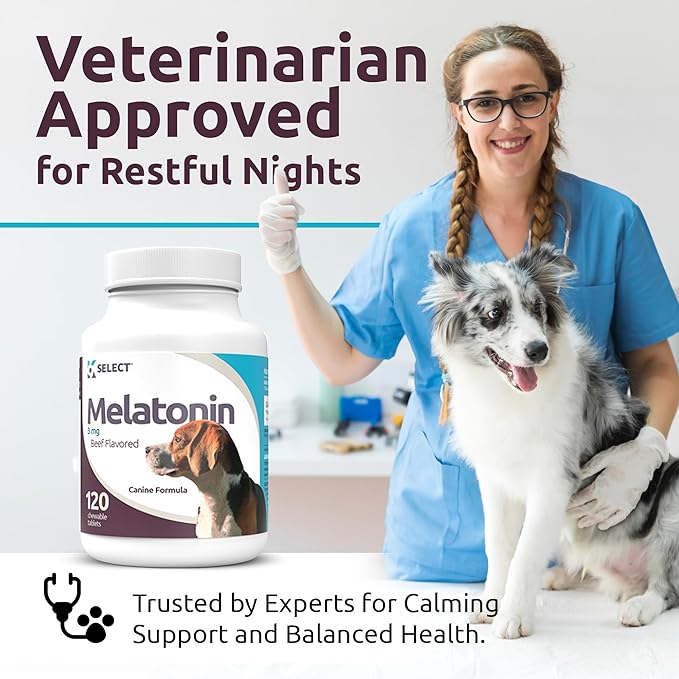 K9 Select Melatonin for Dogs - Composure Dog Calming Chews - Dog Melatonin for Sleep - Reduce Stress Helps Composure Calming Treats for Small Dogs - 3 mg, 120 Beef Flavored Chewable Tablets