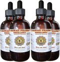 Hawaii Pharm Rehmannia Liquid Extract, Tincture, Herbal Supplement, Made in USA, 4x4 fl.oz