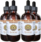 Hawaii Pharm Rehmannia Liquid Extract, Tincture, Herbal Supplement, Made in USA, 4x4 fl.oz