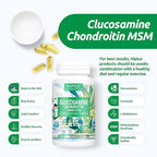 Glucosamine Chondroitin MSM and Turmeric Supplement -Joint Support Supplementfor Women & Men with Boswellia & Glucosamine Sulfate 1500 mg. Used for Cartilage & Joint Health & Flexibility