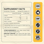 2 Pack Acetyl L-Carnitine Gummies Sugar Free, Premium L-Carnitine Supplement for Women & Men, ALCAR Supplement for Energy, Muscle, Focus & Brain Support, Gluten-Free, Non-GMO, Vegan, 120 Count