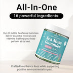 Sea Moss Gummies 16-in-1 - Ashwagandha Black Seed Oil Bladder Wrack Turmeric Vitamin C & D3 with Manuka Burdock Root Dandelion Yellow Dock Natural Detox & Liver Health Immune Support, Energy Boost