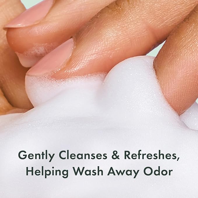 Rael Feminine Wash, Foaming Cleanser for Women, Unscented, Clean Ingredients (5oz, 4 Pack)