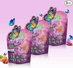 BUTTERFLY'S TEAR Magic Saffron Gummies | 12-in-1 Daily Health Support | Mixed Berry Flavor | Mood, Gut & Metabolism, Mind & Body, Energy Support | 60 Gummies Dietary Supplement
