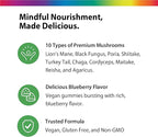 Rainbow Light Mushroom Power Complex Supplement | 60 Gummies | 10 Types of Premium Mushrooms Including Lion's Mane, Poria, Shiitake, Turkey Tail & More | Delicious Blueberry Flavor