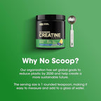 Optimum Nutrition Micronized Creatine Monohydrate Powder, Blueberry Lemonade Creatine, 60 Servings, 360 Grams (Packaging May Vary)